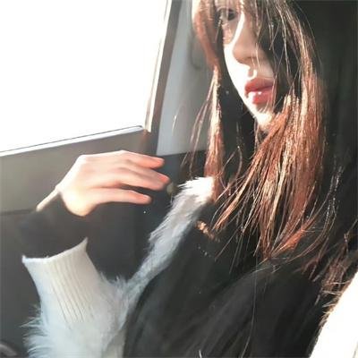 完美拍档2017